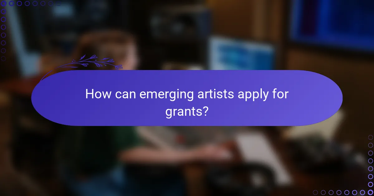 How can emerging artists apply for grants?