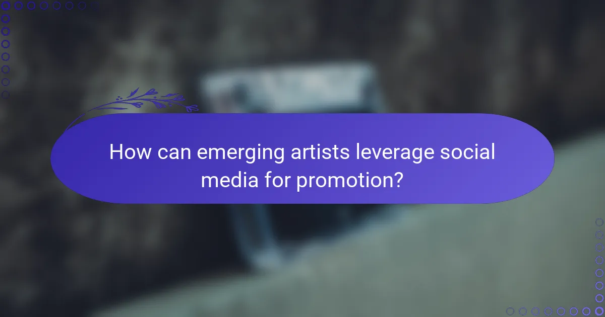 How can emerging artists leverage social media for promotion?
