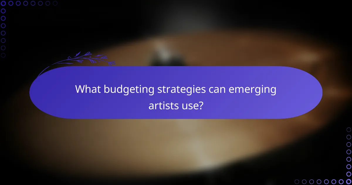 What budgeting strategies can emerging artists use?