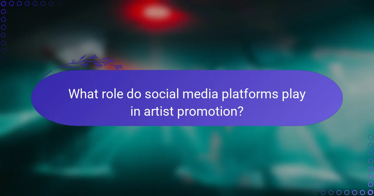 What role do social media platforms play in artist promotion?