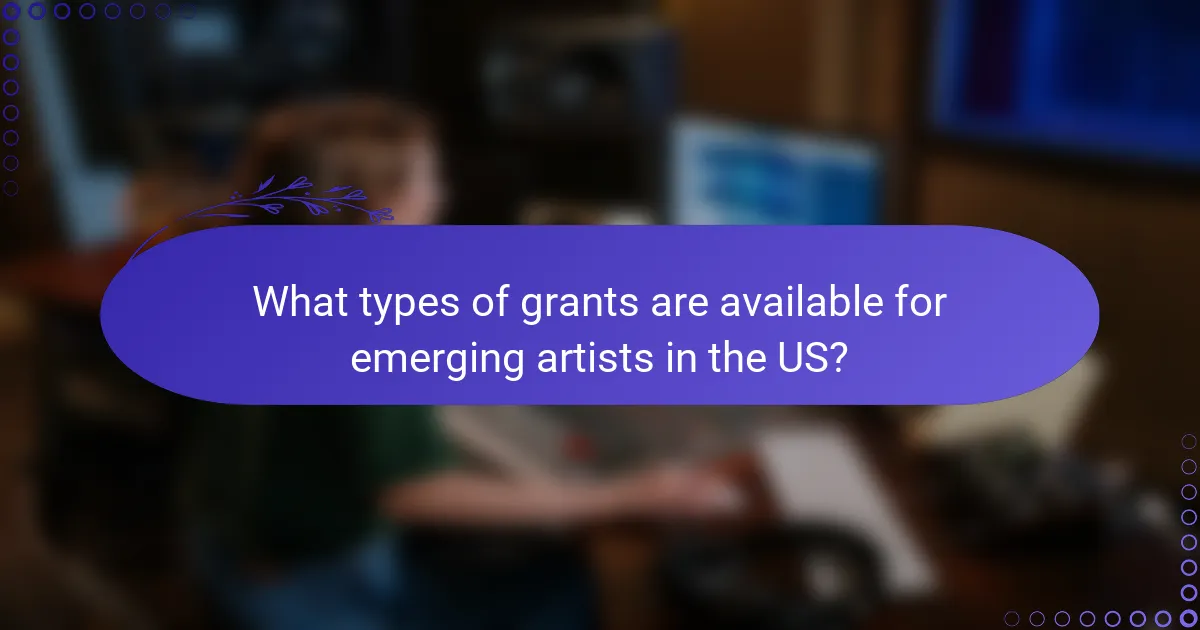 What types of grants are available for emerging artists in the US?
